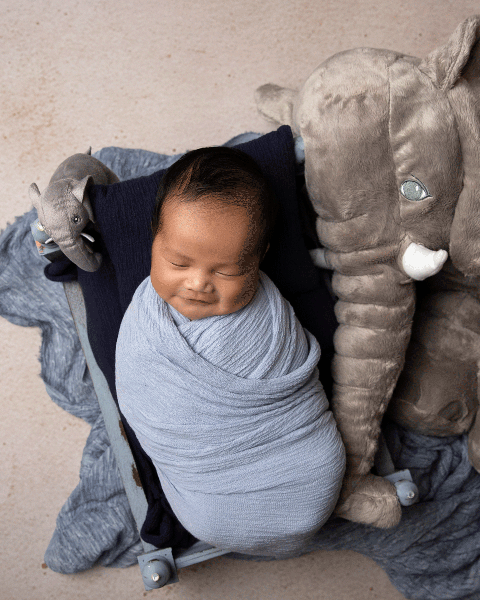 Baby with elephant | Newborn Photography Western Sydney