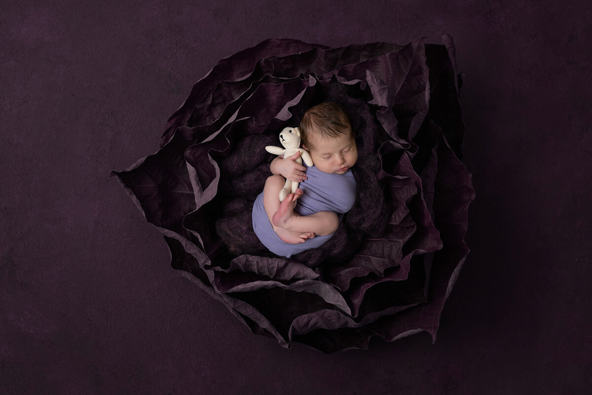 Flower Newborn Photographer Sydney