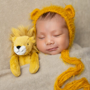 newborn baby lion