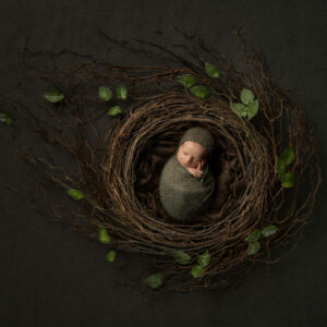 green newborn Photography in twig basket