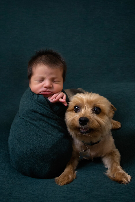 newborn and dog