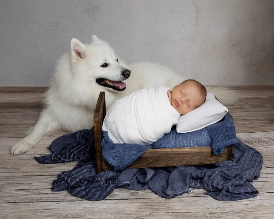 newborn and dog